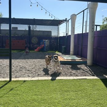 Gringo Theory Patio Bar - Fun fun fun - Bars Near Me - El Paso, Texas