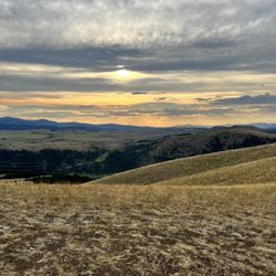 Rock Creek Cattle Company
