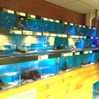Maidenhead Aquatic Centre - Aquarium Services Near Me - St Albans, HRT