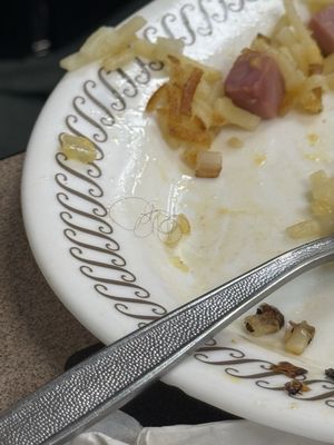 Waffle House by null