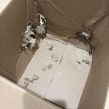 Fitness Showroom - Damaged box - Fitness & Instruction Near Me - Poughkeepsie, New York
