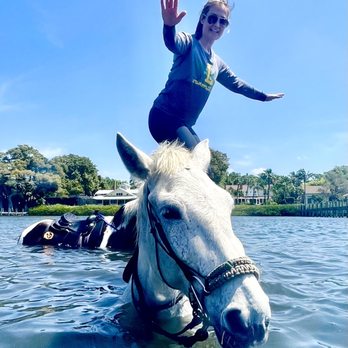 Florida Beach Horses - Horse Surfing - Beaches Near Me - Bradenton, Florida