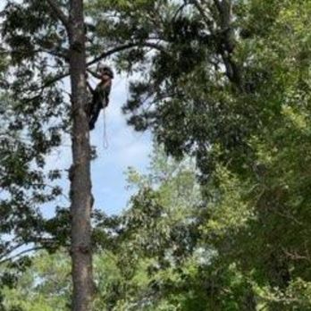 Cherokee Tree Cuttz - Tree Services Near Me - Virginia Beach, Virginia Cherokee Tree Cuttz - Tree Services Near Me - Virginia Beach, Virginia