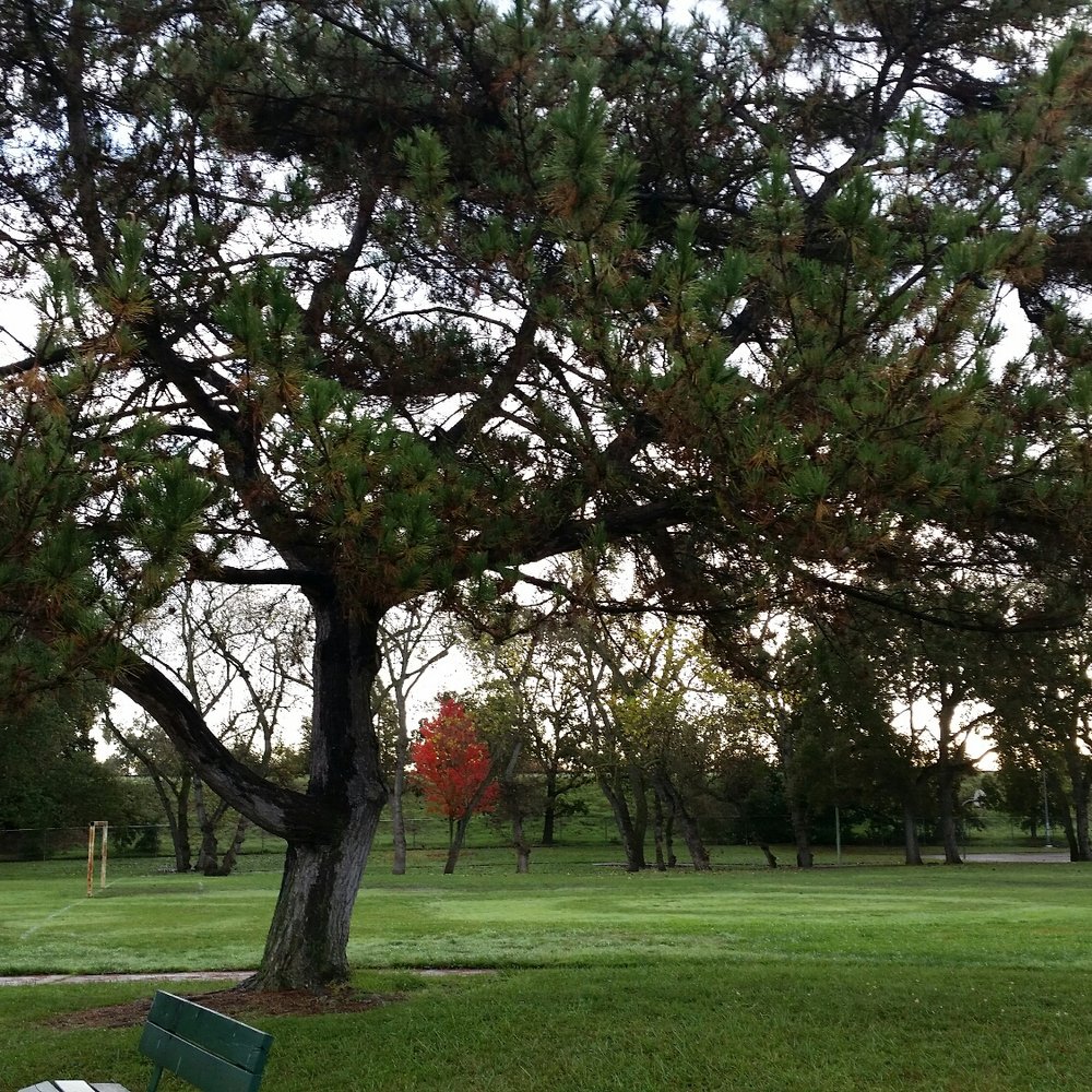 Edwin Z ' Berg Park - Walking path around park - Parks Near Me - Sacramento, California Edwin Z ' Berg Park - Walking path around park - Parks Near Me - Sacramento, California