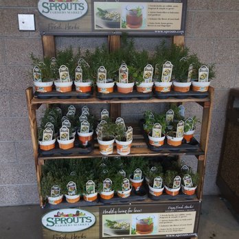 Sprouts Farmers Market - Grocery Near Me - Albuquerque, New Mexico Sprouts Farmers Market - Grocery Near Me - Albuquerque, New Mexico
