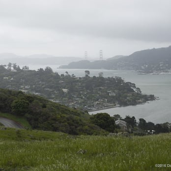 Hippie Tree - Golden Gate Bridge, San Francisco Bay and Tiburon.  3/21/6 - Hiking Near Me - Tiburon, California