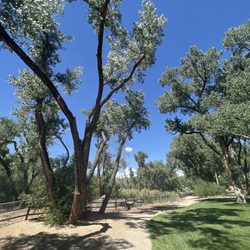 Westland Dog Park - This is the big dog area