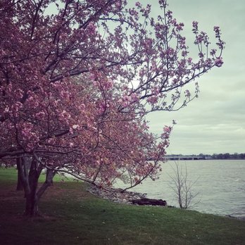 Tidal Basin - Lakes Near Me - Washington, DC, District of Columbia Tidal Basin - Lakes Near Me - Washington, DC, District of Columbia