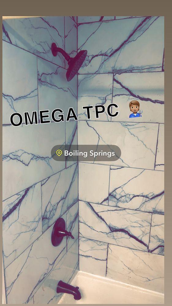 Slide of Omega TPC