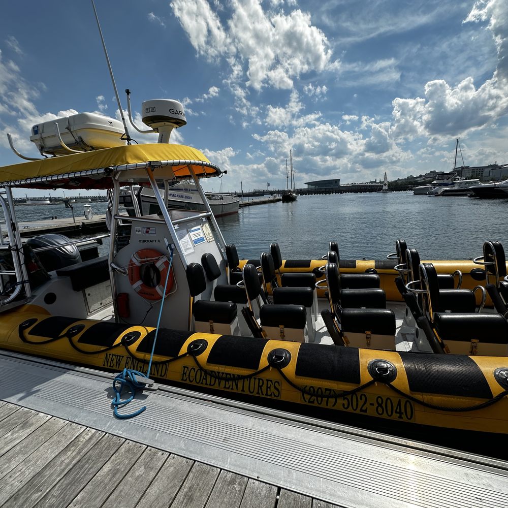 TOP 10 BEST Diving in Lynn, MA - Updated 2025 - Yelp