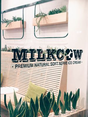 Sweet Cow Cafe - Ice Cream | Bubble Tea | Dessert by null
