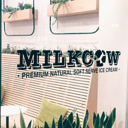 Sweet Cow Cafe - Window