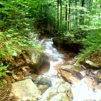 The Flume Gorge - Parks Near Me - Lincoln, New Hampshire The Flume Gorge - Parks Near Me - Lincoln, New Hampshire