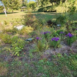 Canton Bicentennial Rain Garden