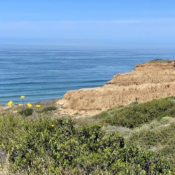 Torrey Pines State Reserve - Parks Near Me - La Jolla, California Torrey Pines State Reserve - Parks Near Me - La Jolla, California