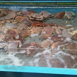 La RoueTourne - Fresh crab