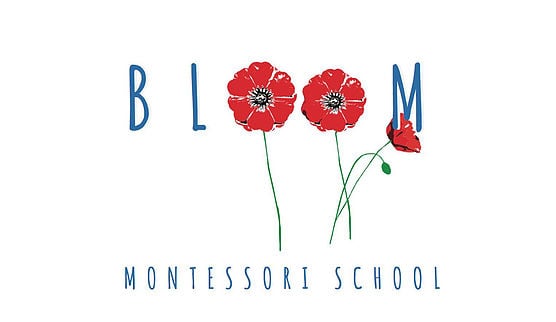 Bloom Montessori School - childcare center in Helena, MT