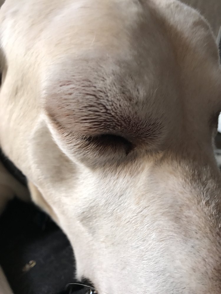 Callahan Firm - divorce attorney in San Diego, CA