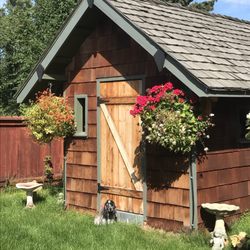 Spenard Builders Supply - 100% sbs material. ( sheds frikkin nicer'n my house. )