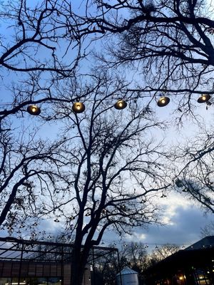 Leona Botanical Cafe & Bar by null Leona Botanical Cafe & Bar by null