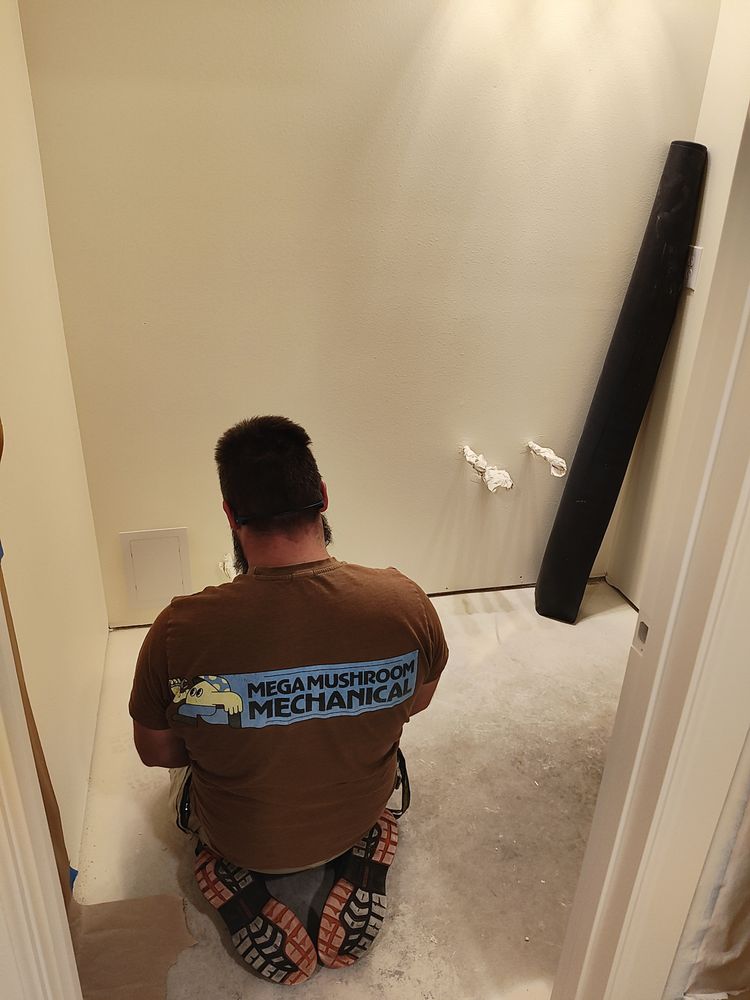 Slide of Mega Mushroom Mechanical