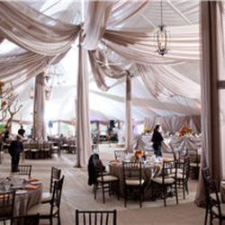 Drumbo Tent - Photo