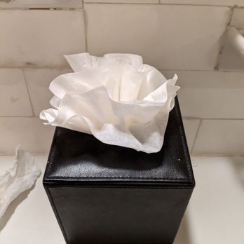 Hotel Normandie - Cute tissue flower - Hotels Near Me - Los Angeles, California Hotel Normandie - Cute tissue flower - Hotels Near Me - Los Angeles, California