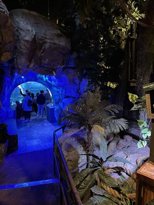 SEA LIFE at Mall of America by null