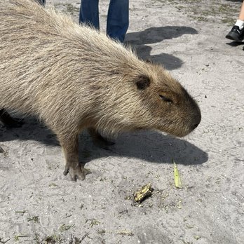 Wellington Conservation Center - Petting Zoos Near Me - Wellington, Florida