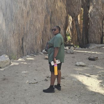 Indian Canyons - Parks Near Me - Palm Springs, California