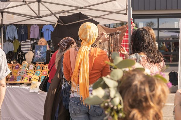 The Venice Fest by null