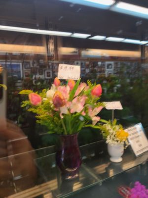 Adams & Son & Daughter Gardens by null