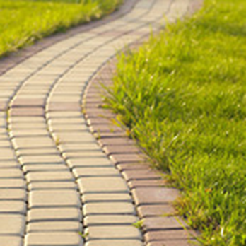 Sanchez Tree Services - Tree Services Near Me Sanchez Tree Services - Tree Services Near Me