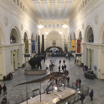 Field Museum - Museums Near Me - Chicago, Illinois Field Museum - Museums Near Me - Chicago, Illinois