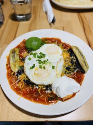 The Egg & Us by null