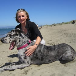 K-9 FauxPaws - Me and Mia