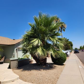 Arnol's Lawn Services and Irrigation - Lawn Services Near Me Arnol's Lawn Services and Irrigation - Lawn Services Near Me