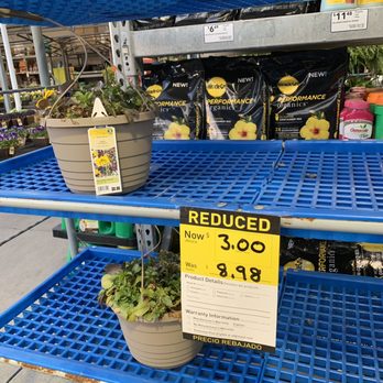 Lowe's Home Improvement - Clearance flowers - Hardware Stores Near Me - Myrtle Beach, South Carolina