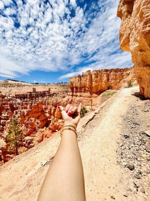 Bryce Amphitheater by null