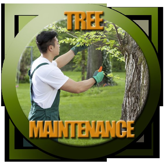 Tree Service Fort Worth - tree service in Fort Worth, TX