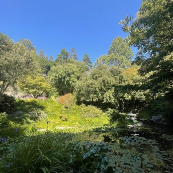 UC Botanical Garden at Berkeley - Japanese Pool - Botanical Gardens Near Me - Berkeley, California
