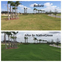 NativeGreen Pest Control & Fertilization - Fertilization, Pest Control