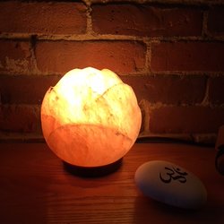 Blossom Yoga & Wellness