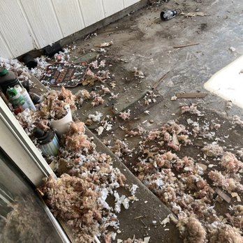 Royal Air Conditioning - More old insulation - Heating & Air Conditioning/HVAC Near Me - Houston, Texas