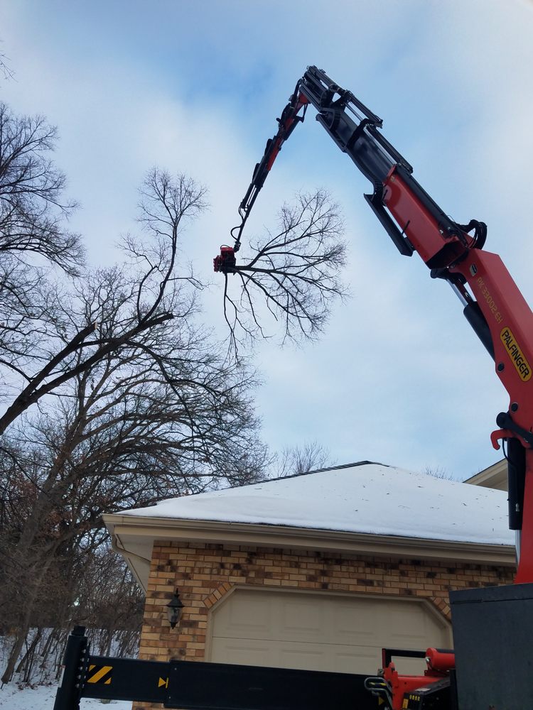 Hiawatha Tree Services - tree service in Minneapolis, MN