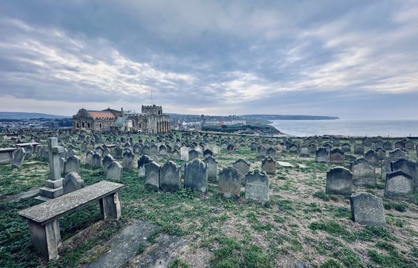 Whitby Abbey by null