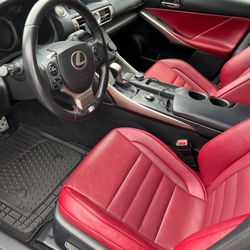 Premium Car Detailing
