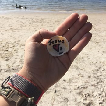 Key Vista Nature Park - Painted shell. - Parks Near Me - Holiday, Florida Key Vista Nature Park - Painted shell. - Parks Near Me - Holiday, Florida