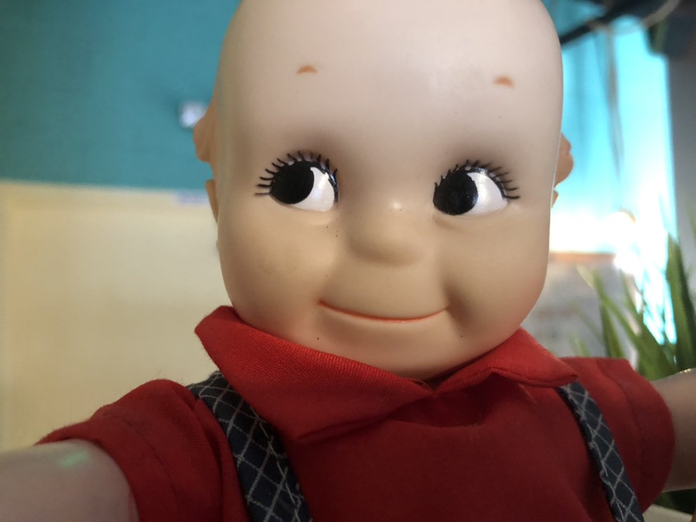 Yaw Farm Coffee Roaster