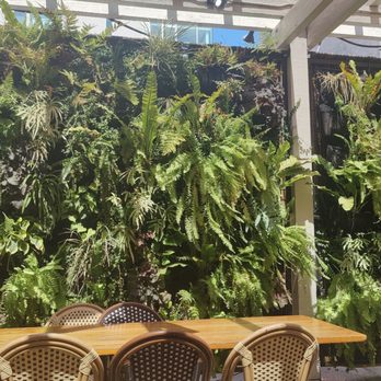 Cafe Bernardo - Plant wall in outdoor patio - Breakfast & Brunch Near Me - Sacramento, California Cafe Bernardo - Plant wall in outdoor patio - Breakfast & Brunch Near Me - Sacramento, California
